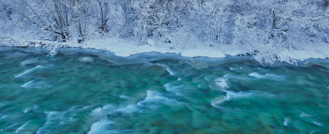 DEREK JOHNSTON’S DEEP ECOLOGY