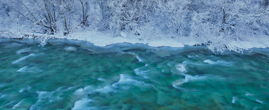 DEREK JOHNSTON’S DEEP ECOLOGY