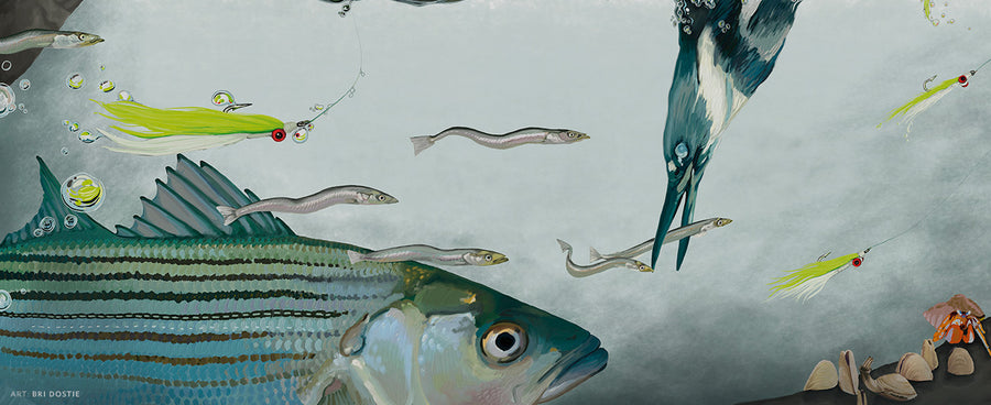 Art: Bri Dostie