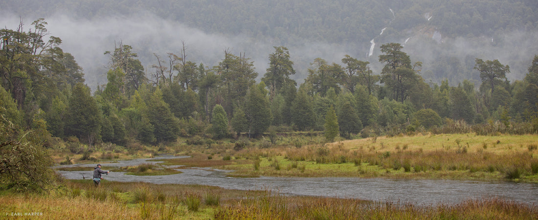 THE LAST FLIGHT OF MR. MOUSE
