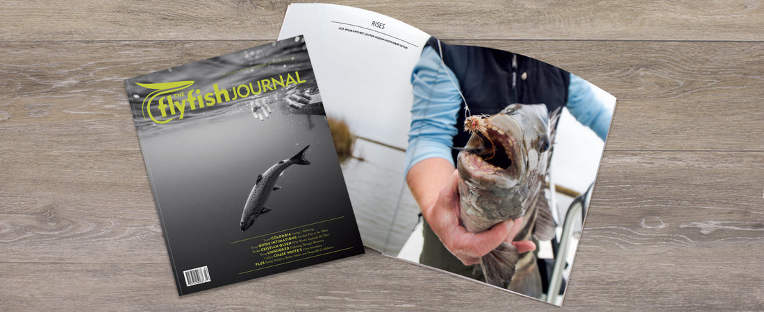 The Flyfish Journal #16.2 featuring Colombia, Guide Intimations, Cristian Olsen, Flyfishing Through Recovery, Chase White Gallery and much more.