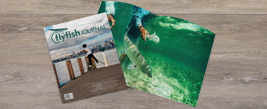 The Flyfish Journal #16.4 featuring Guyana, Dan Santoro, Dean River, Lamprey, Jono Winnel and more.