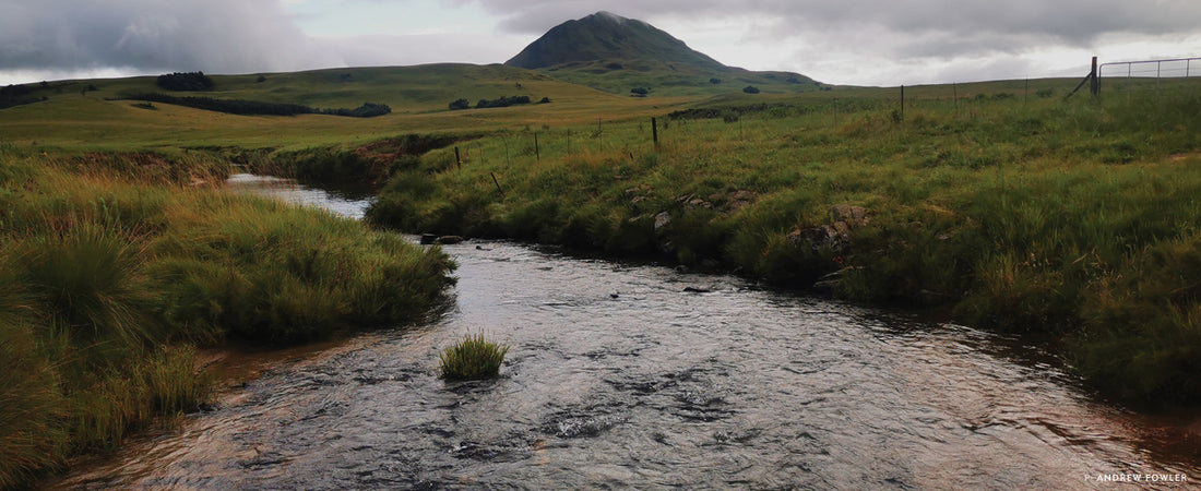 Shifting Baselines, Flat Trend lines