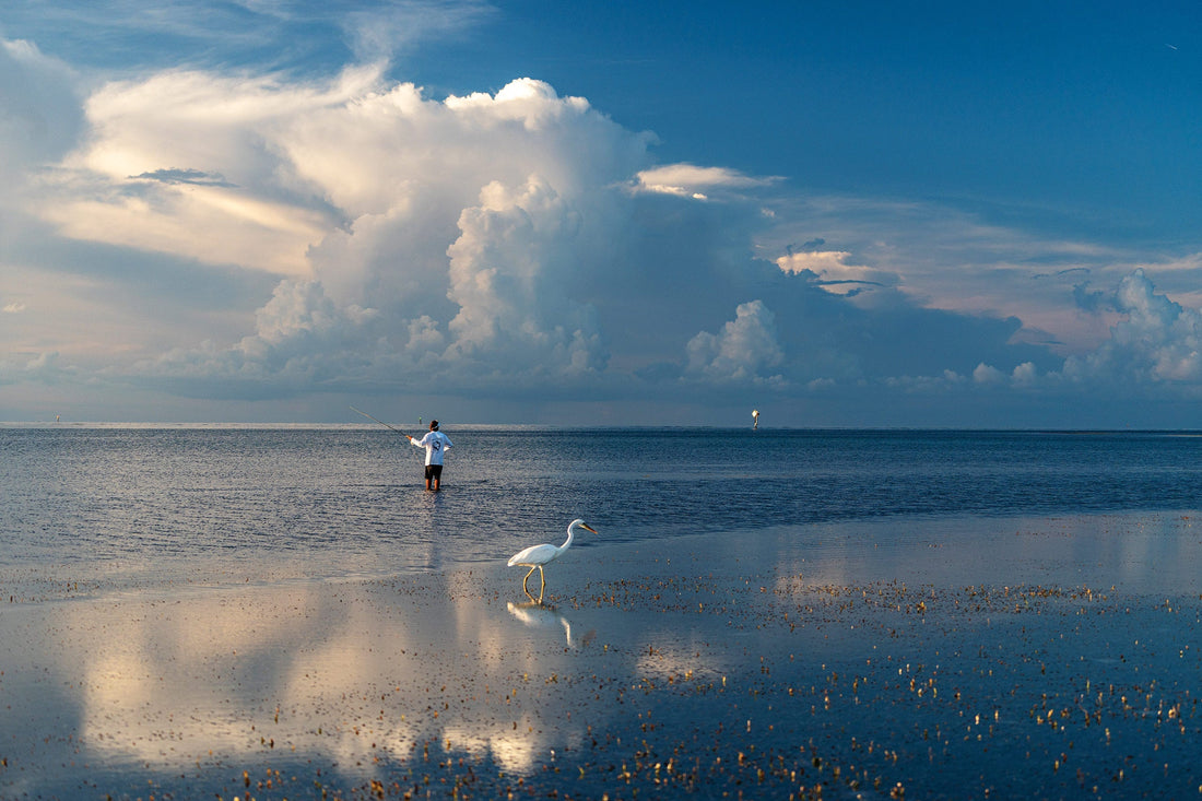Classic summer scenes in the Florida Keys: big storm cells in the distance, wading birds, glassy water and an angler casting to tailing bonefish. Photo: Ian Wilson-Navarro