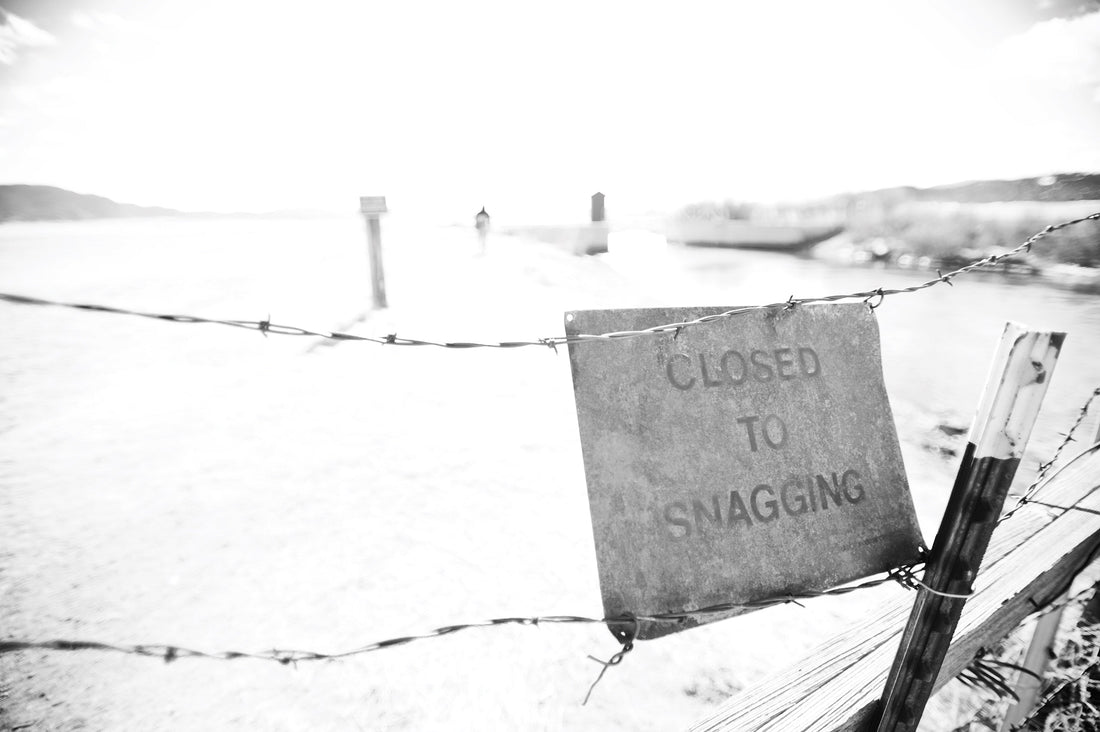 Snagging is one of the lowliest ways to catch a fish. Some people need reminders I suppose, even on Colorado’s Dream Stream section of the South Platte River. Photo: Copi Vojta