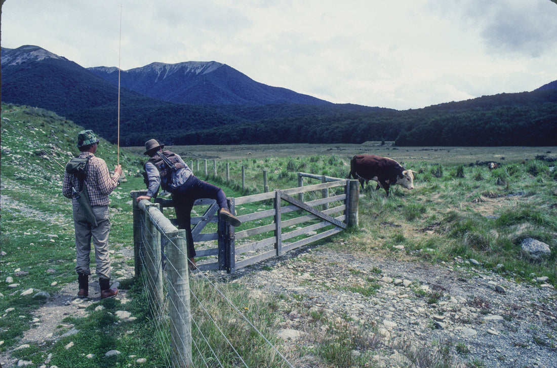 Jim Adams (left) and California Trout founder Dick May play matador while attempting to fish the Mararoa River in Southland, NZ. Photo: Val Atkinson