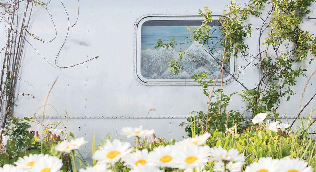 I can’t say how many times I’ve walked by this Airstream trailer—it’s just down the street from where I live.