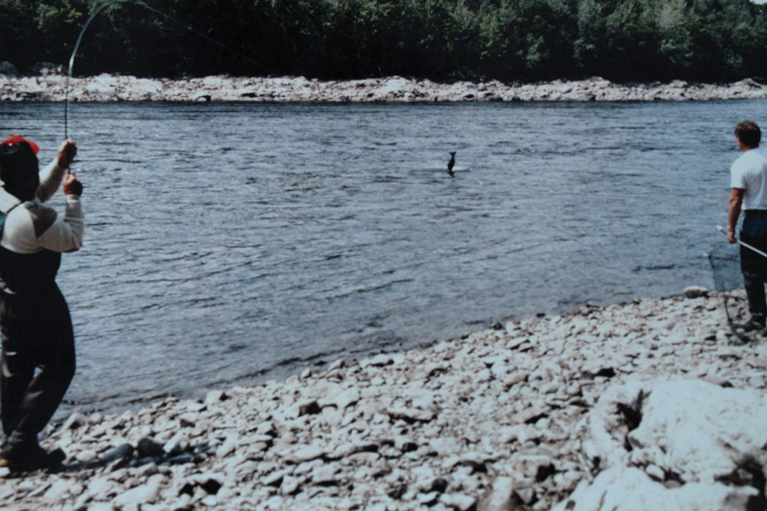Last Ghosts of the Penobscot