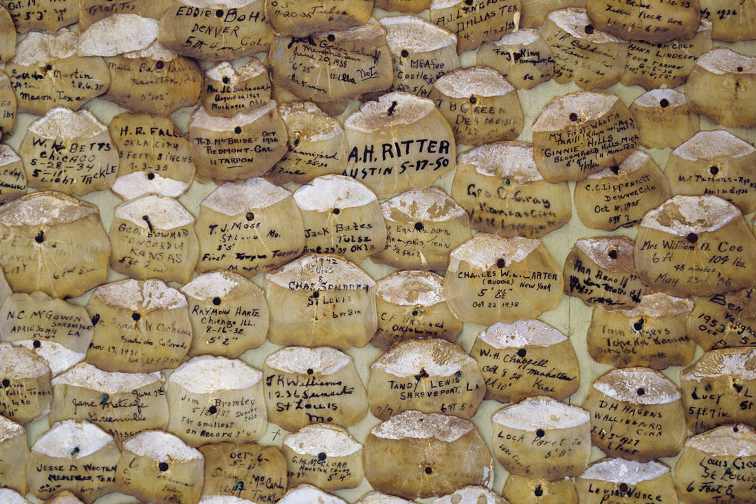 Originally built in 1886, the Tarpon Inn in Port Aransas and it's wall of dated tarpon scales. Photo: Tosh Brown