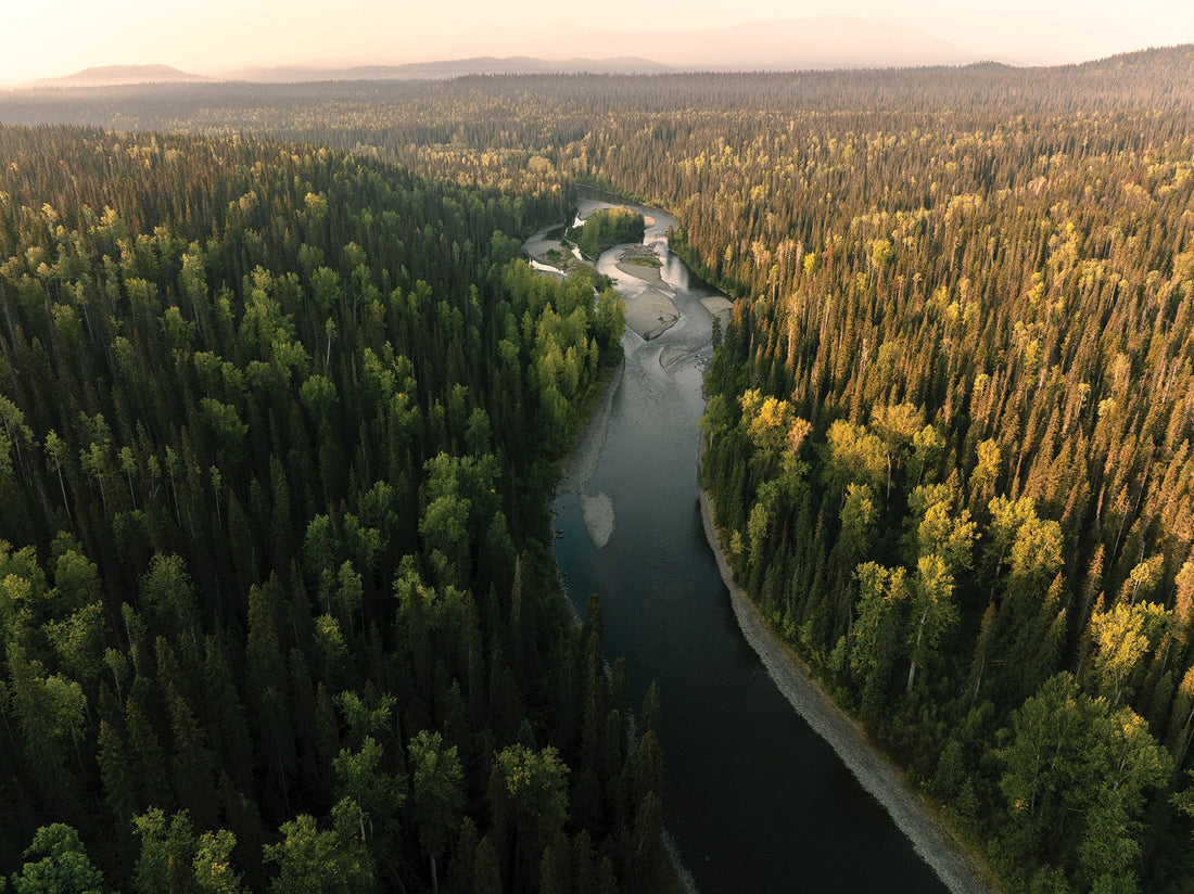 Home to prolific returns of anadromous fish, British Columbia’s Babine River transitions from day to night.