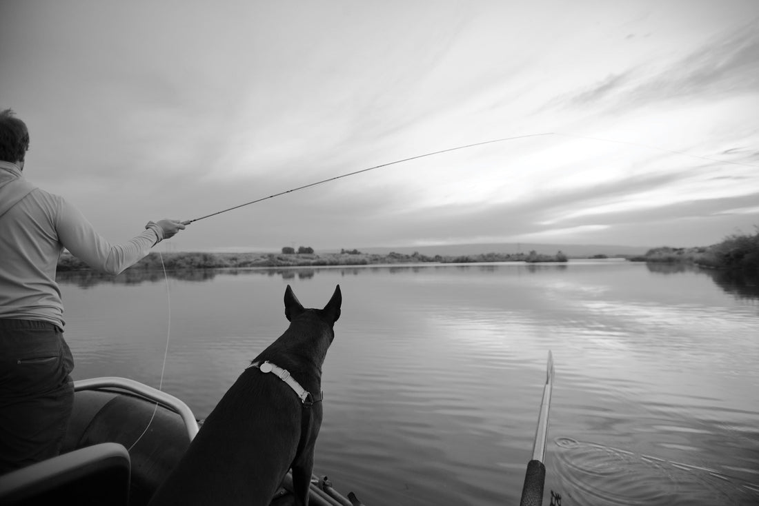 While I’ve fished with a fair number of good dogs, Masha has been one of my most frequent and best companions.