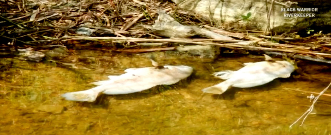 Alabama Power Chemical Spill