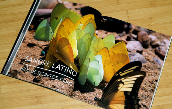 SANGRE LATINO