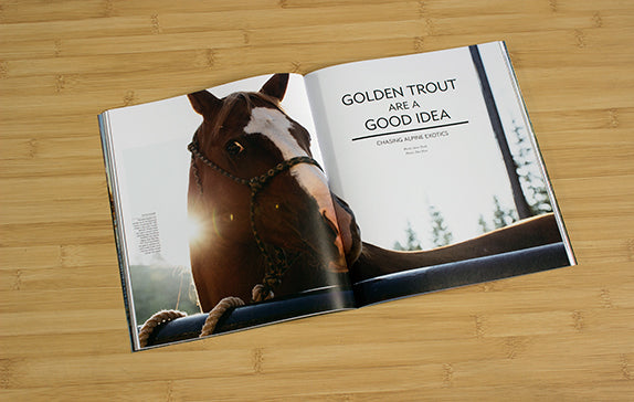 GOLDEN TROUT ARE A GOOD IDEA