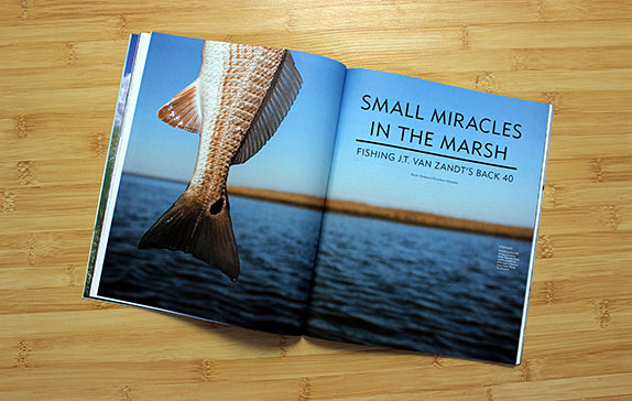 SMALL MIRACLES IN THE MARSH