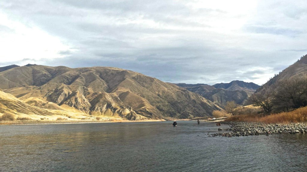 Fly fishing the Snake River