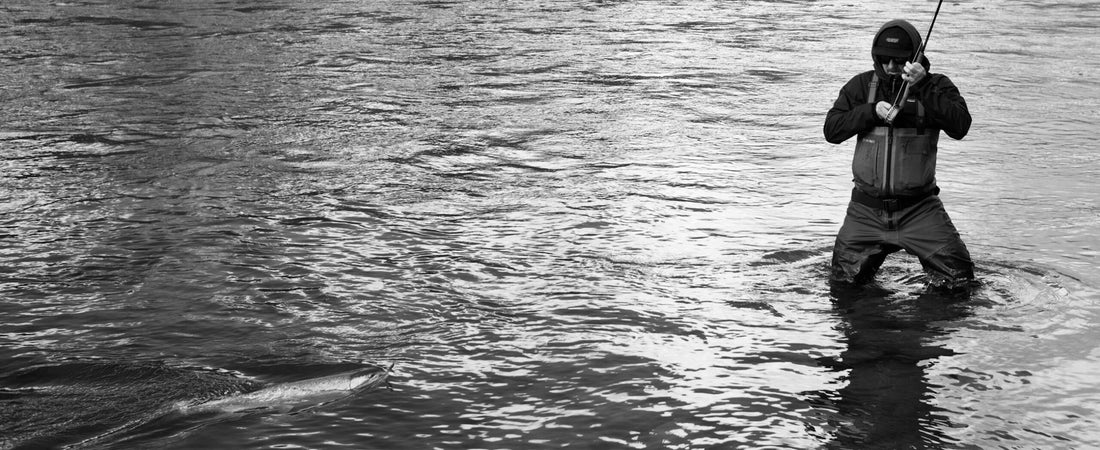 A wild steelhead, caught on a swung fly. Photo: Copi Vojta