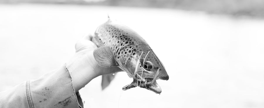 Stand Up For Clean Water