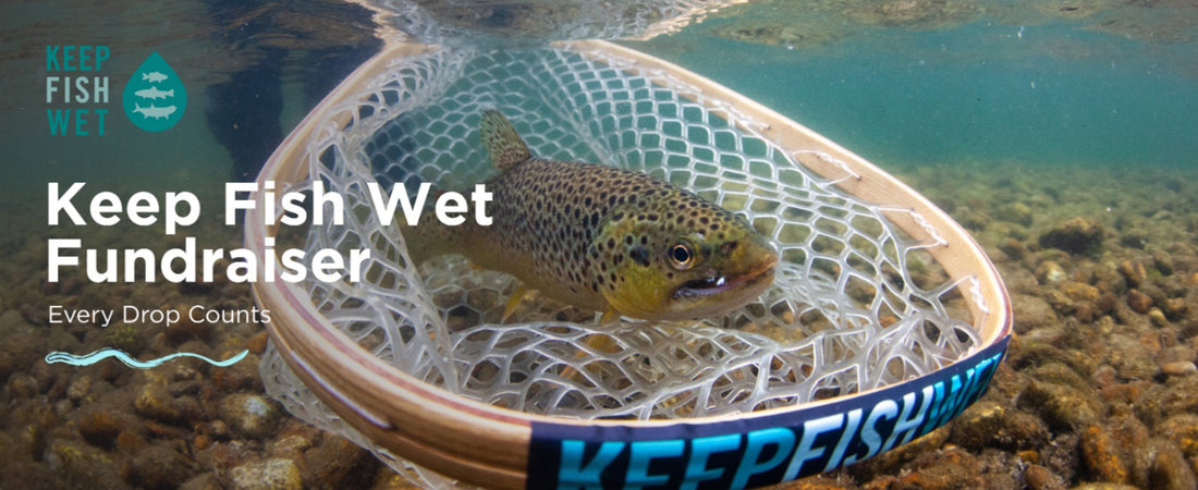 Keep Fish Wet Fundraiser