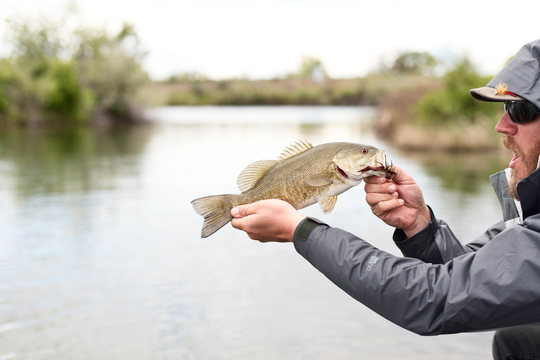 fishing, flyfishing, bass,