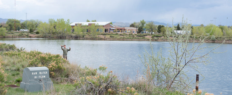 Going for Gold: A Review of RIO’s Gold XP and Gold MAX Series Fly Lines