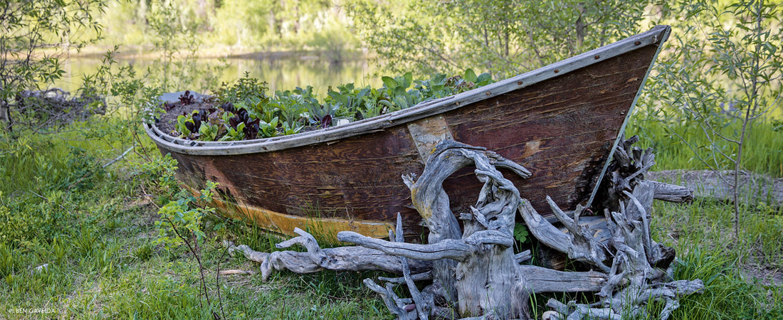 Stories Etched in Wood