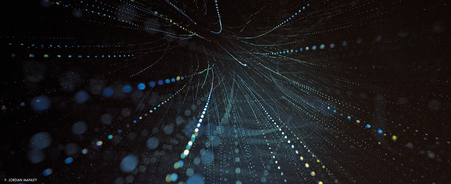 JORDAN MANLEY GALLERY