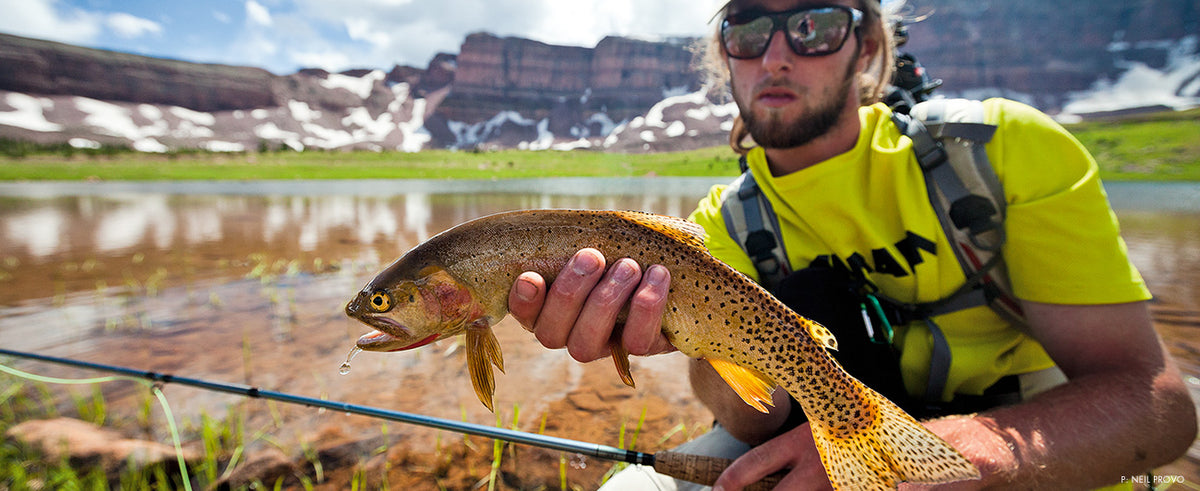 Utah