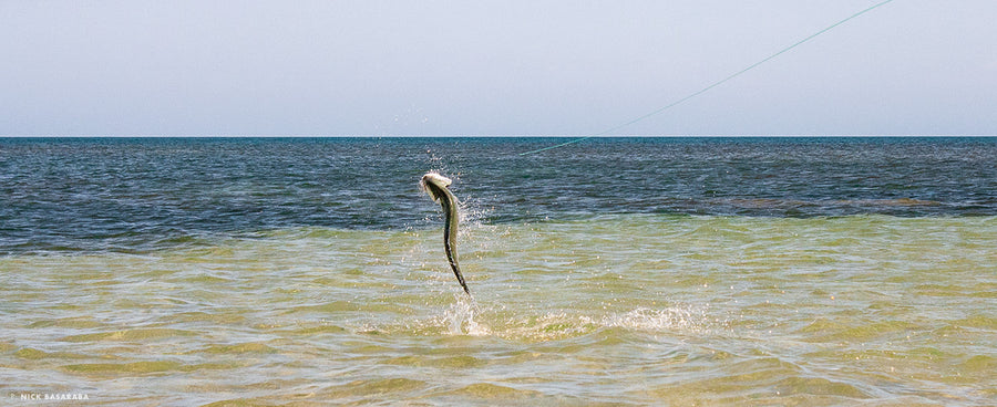 RED DIRT REVIVAL IN WESTERN AUSTRALIA