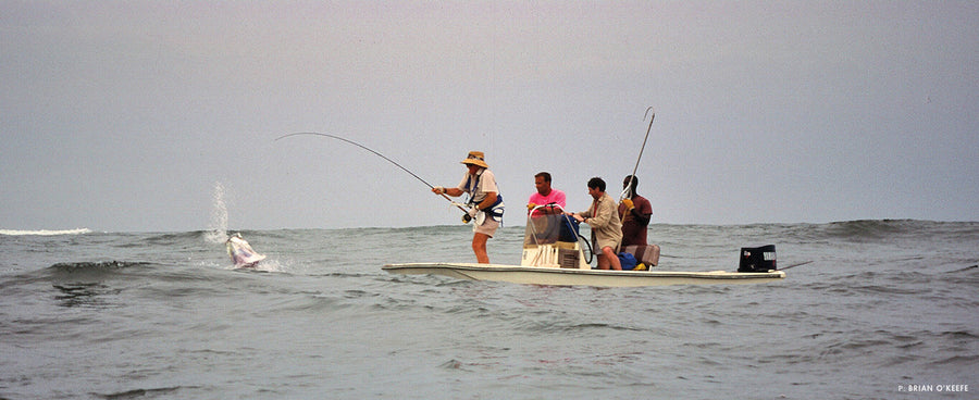 Recording  Sherbro  Island