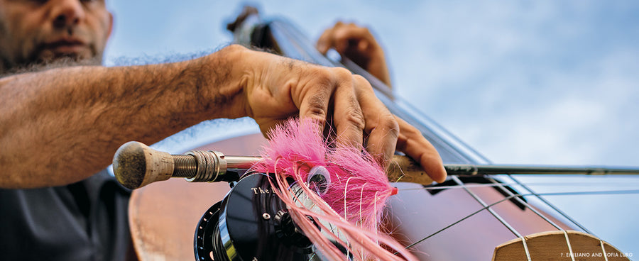 DREAMING OF ROGER WATERS