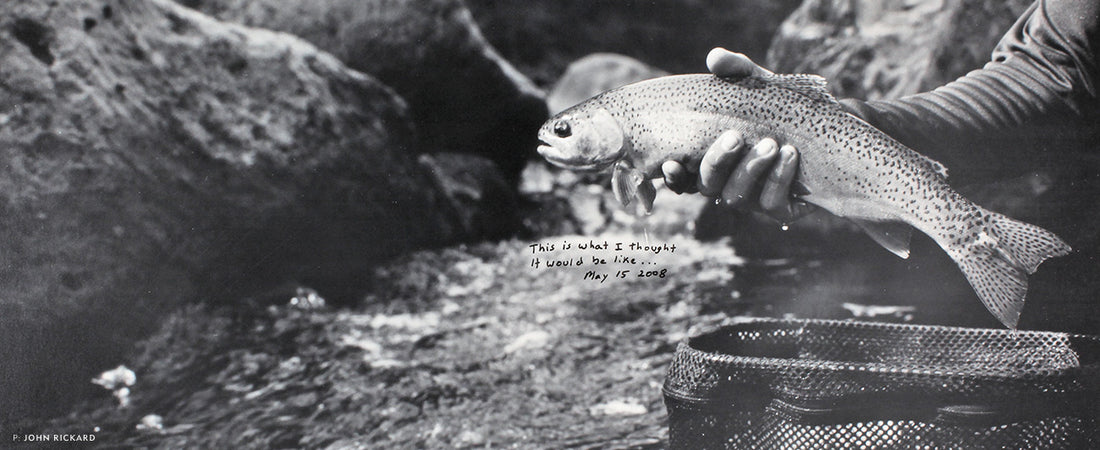 INVISIBLE RESTORATION