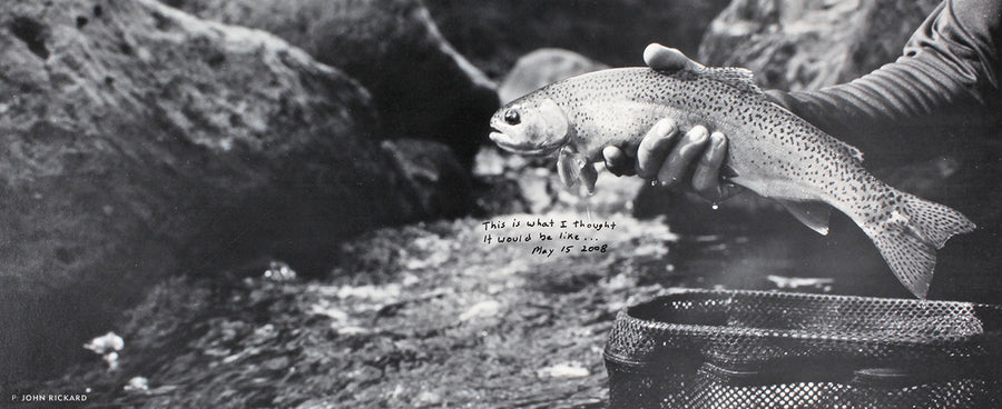 INVISIBLE RESTORATION