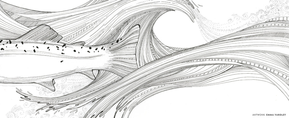 EMMA YARDLEY GALLERY