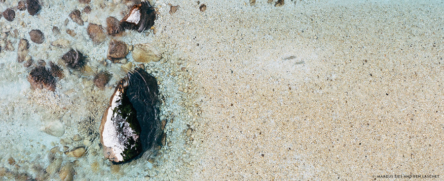 female marble trout begin building redds