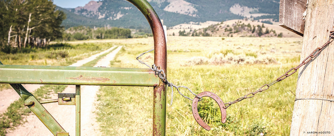 Western Montana landscape