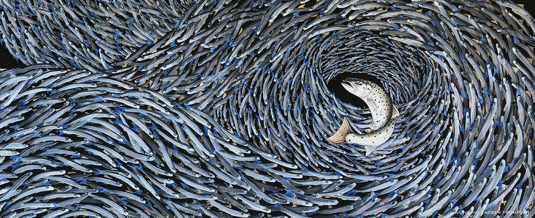 Landlocked Salmon and Rainbow Smelt, 2019