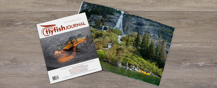 Cover and open spread from Issue 14.4