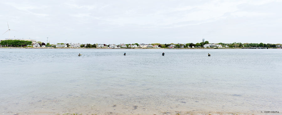 First, Most, Biggest