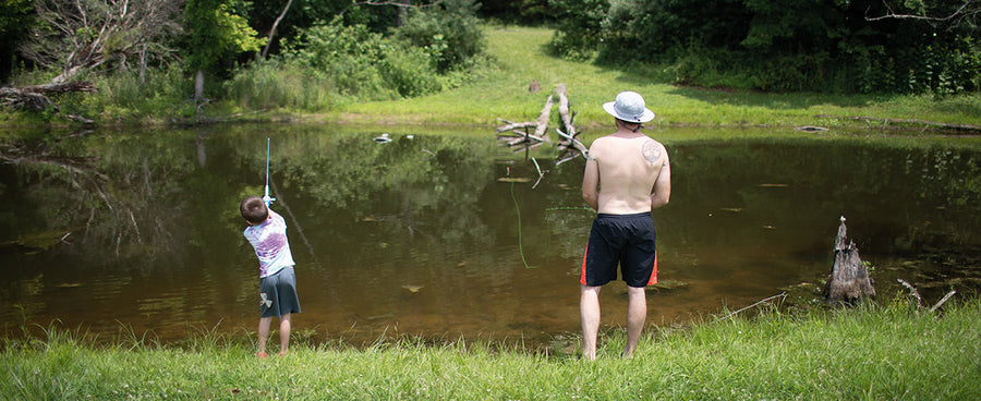 Department of Fish and Games