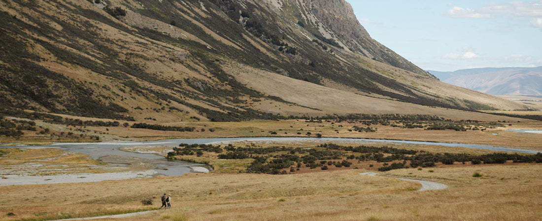 Badgers, Coyotes, Eagles and Bears