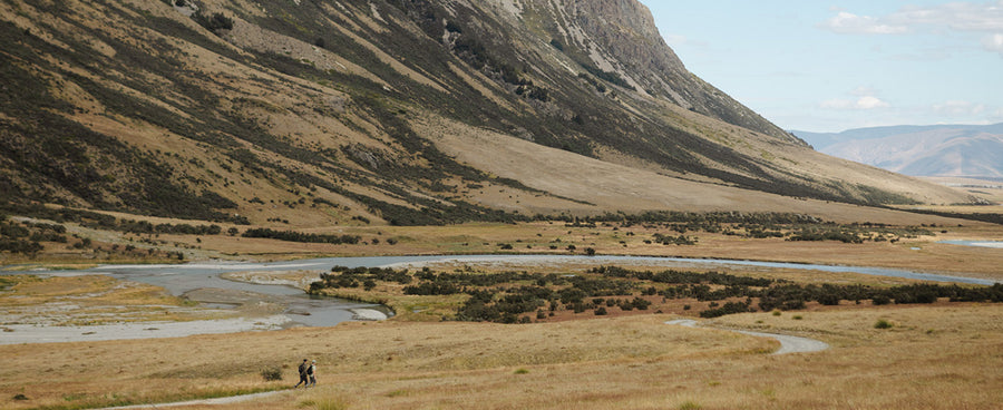 Badgers, Coyotes, Eagles and Bears