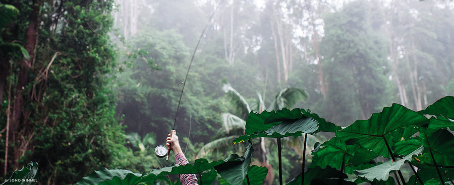 A METAPHOR FOR ANYTHING