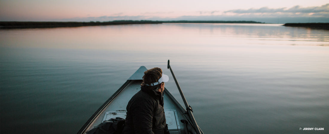 Repeal, Remove, Regret