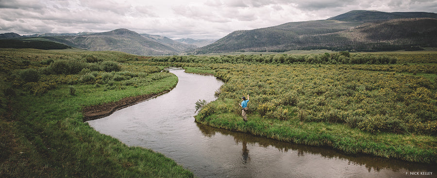 Stop Dreaming and Start Living