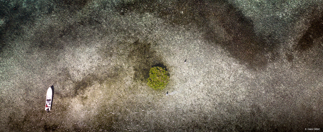 Down The Path Podcast