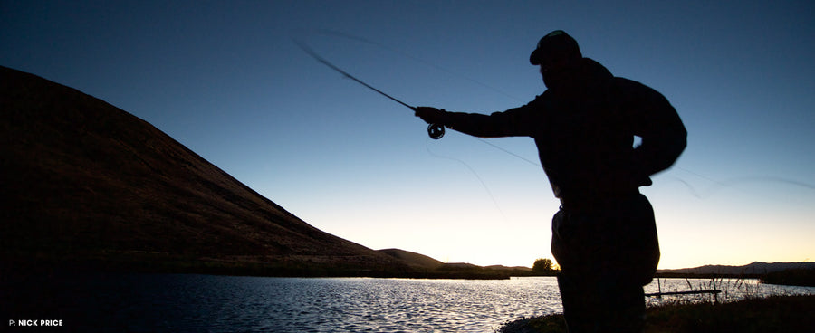 Five  Laws  of  Fish