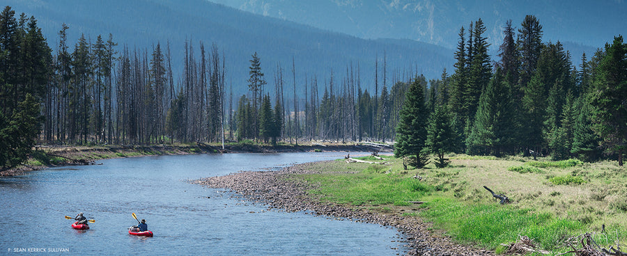 THERE AND BACK AGAIN