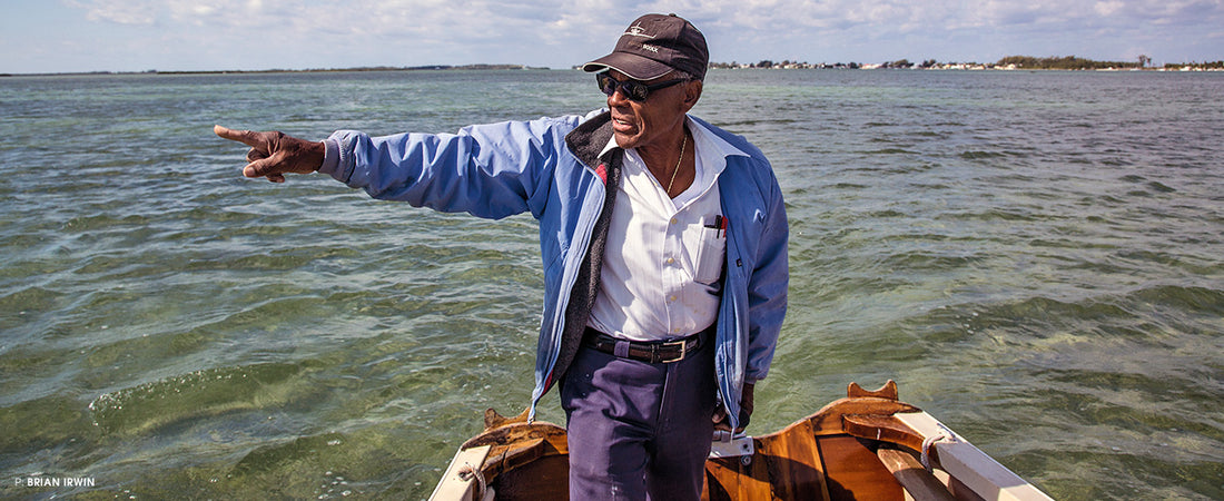 When the Mountaintop Met the Mangroves