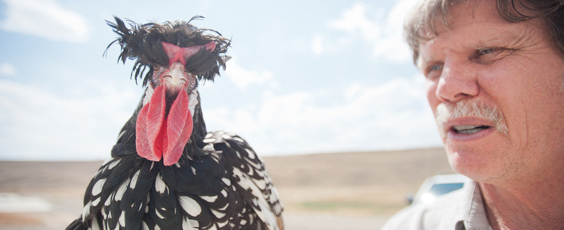 Inside Whiting Farms’ Hackle Empire